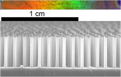 Silicon Nanowire Arrays