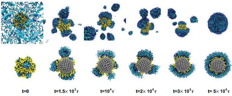 Enlarged view: Self Assembly of Nanoparticles