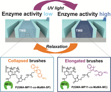 Light-switching of Enzymatic Activity in Functionalized Polymer Brushes