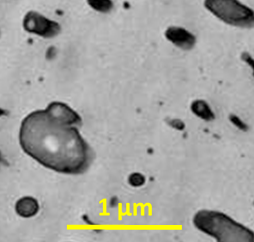 SEM image of the complicated multiscale microstructure of the PS/SIS composite blends