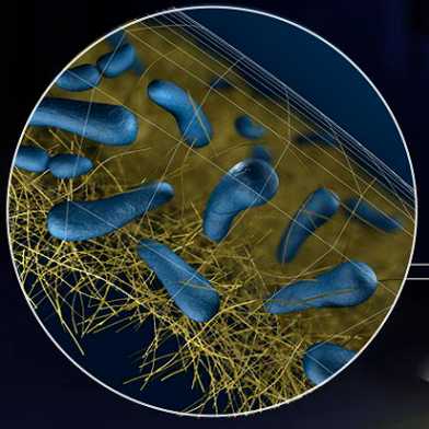 3D Printing of Bacteria into Functional Complex Materials