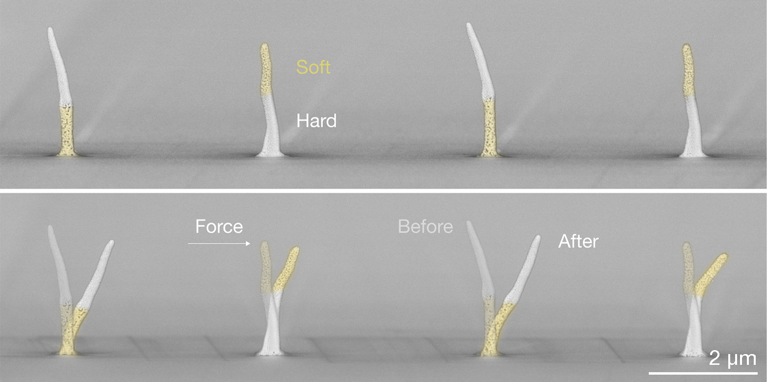 3D printed pillars with alternating nanoporous and dense segments