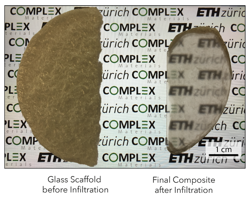 Transparent, Strong, and Tough Bioinspired Composites