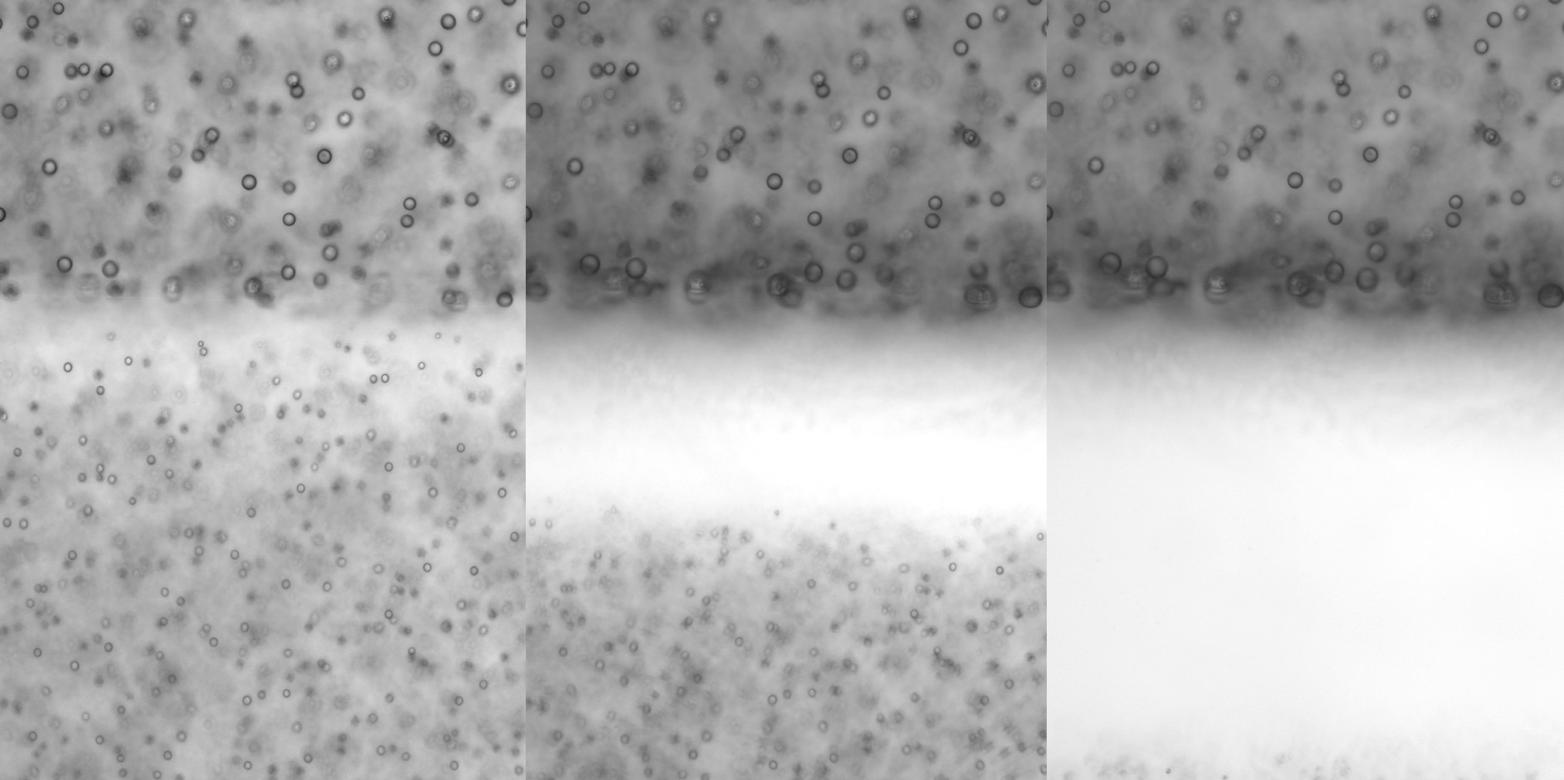 Polymers Put the Squeeze on Liquid Droplets