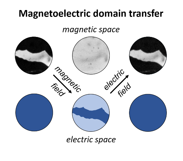 Magnetoelectric domain transfer.