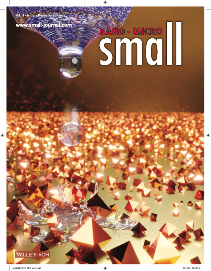 Cover of the Christmas issue of Small